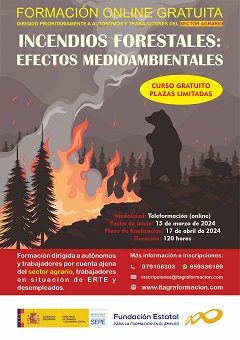 Incendios forestales: efectos medioambientales